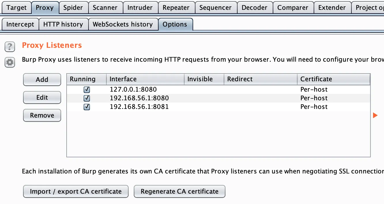 Burpsuite Proxy